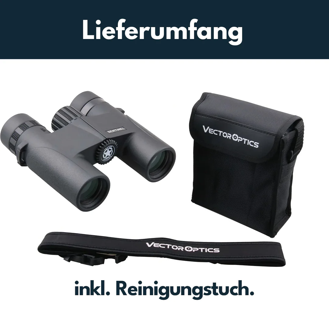 Vorschaubild 5