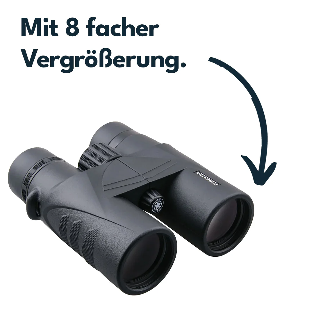 Vorschaubild 3