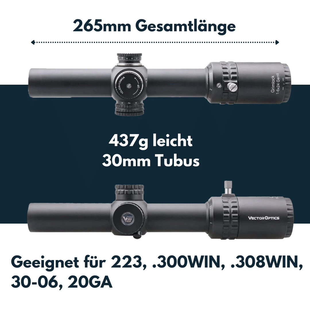 Vorschaubild 5