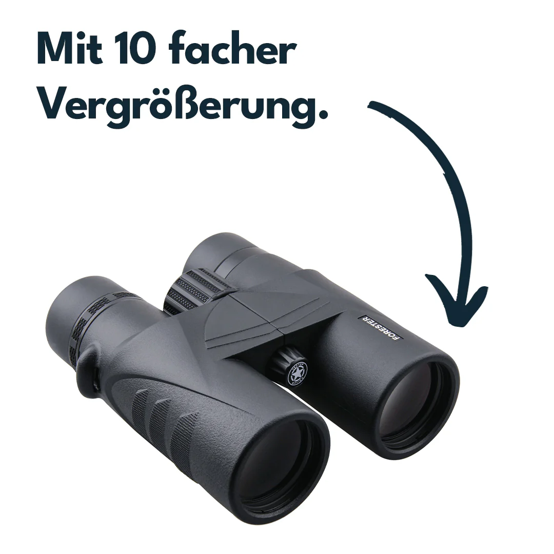 Vorschaubild 3