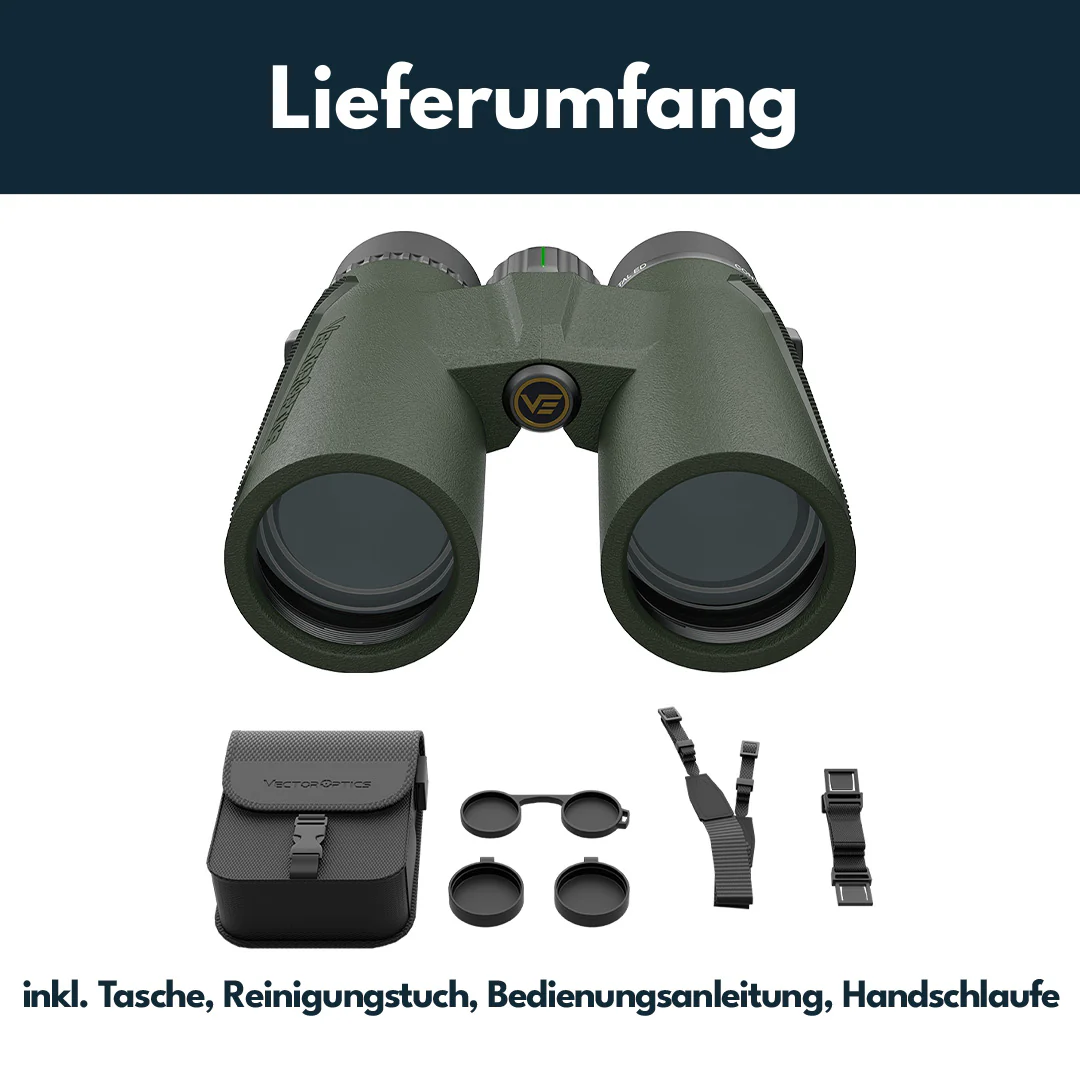 Vorschaubild 5