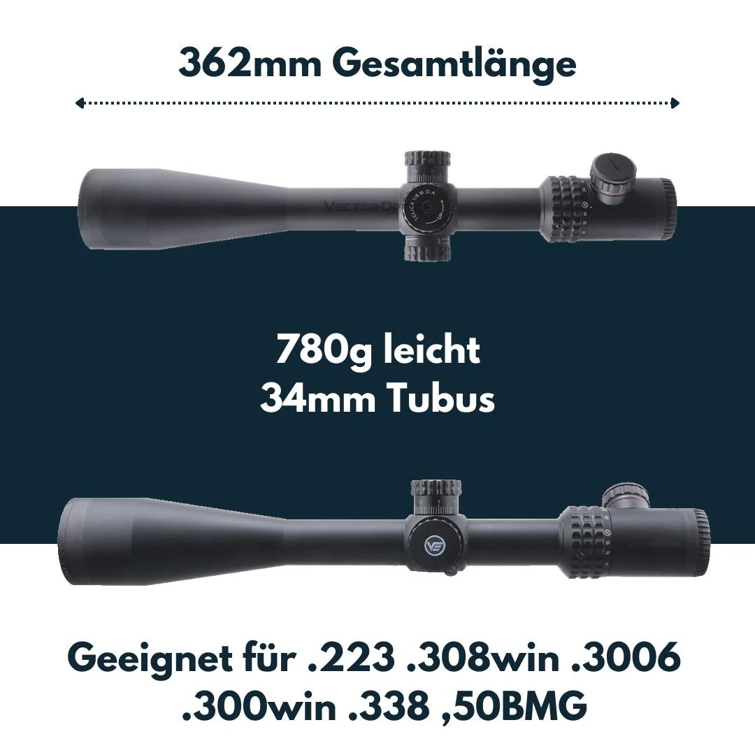 Vorschaubild 5
