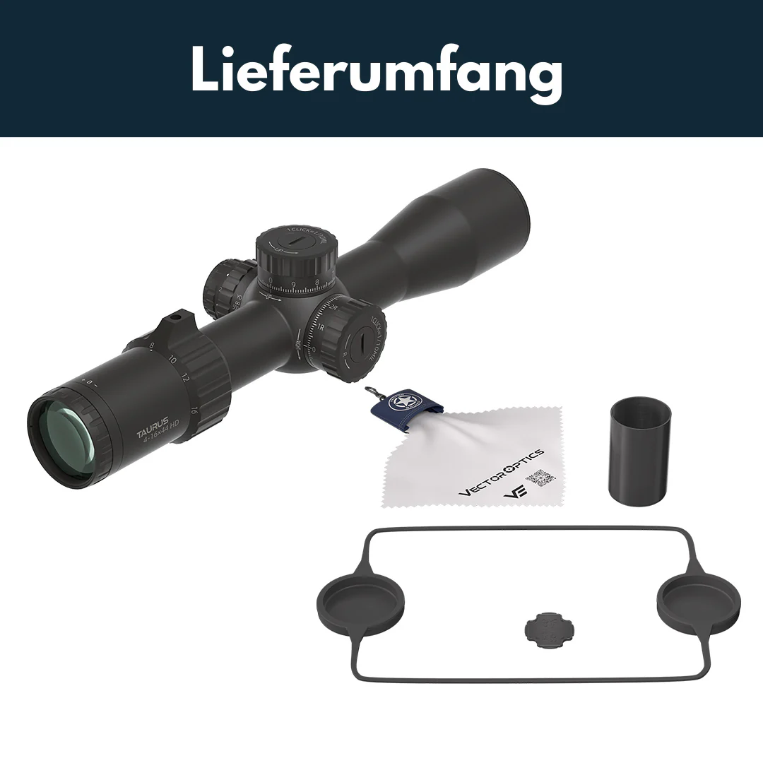 Vorschaubild 7