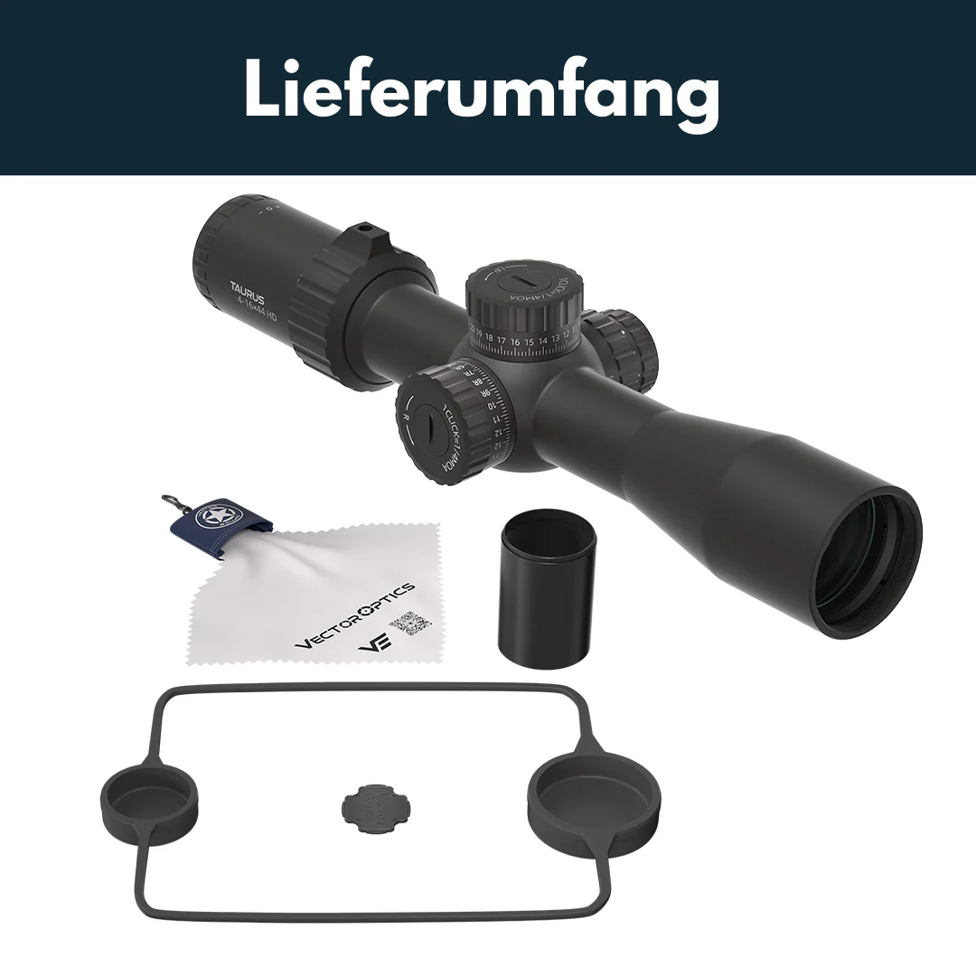 Vorschaubild 7