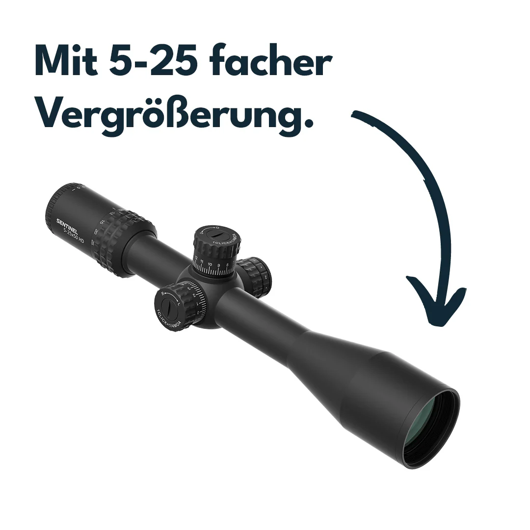 Vorschaubild 4