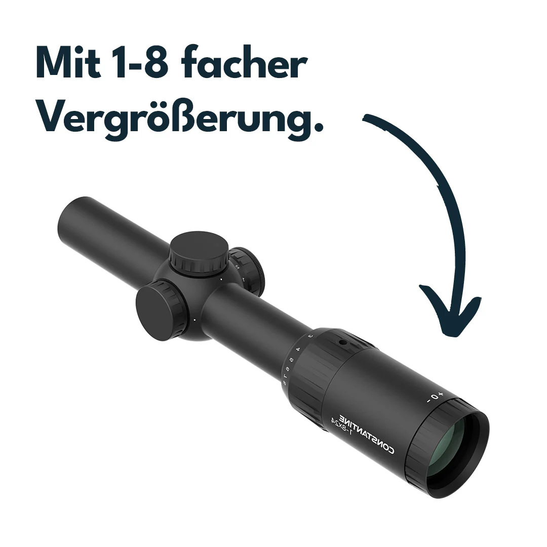 Vorschaubild 4