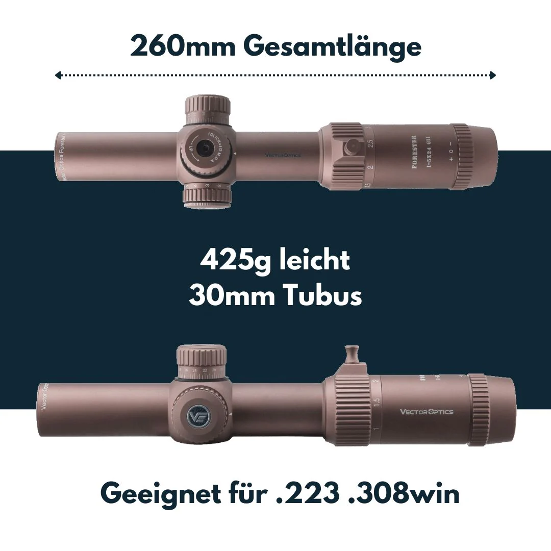 Vorschaubild 5