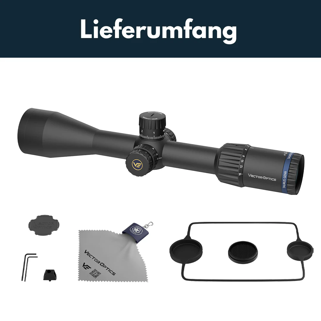 Vorschaubild 7