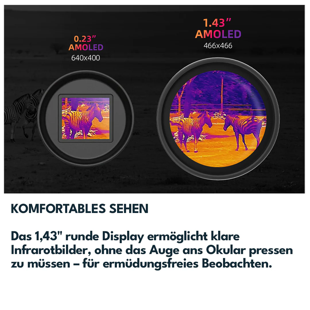 Vorschaubild 6